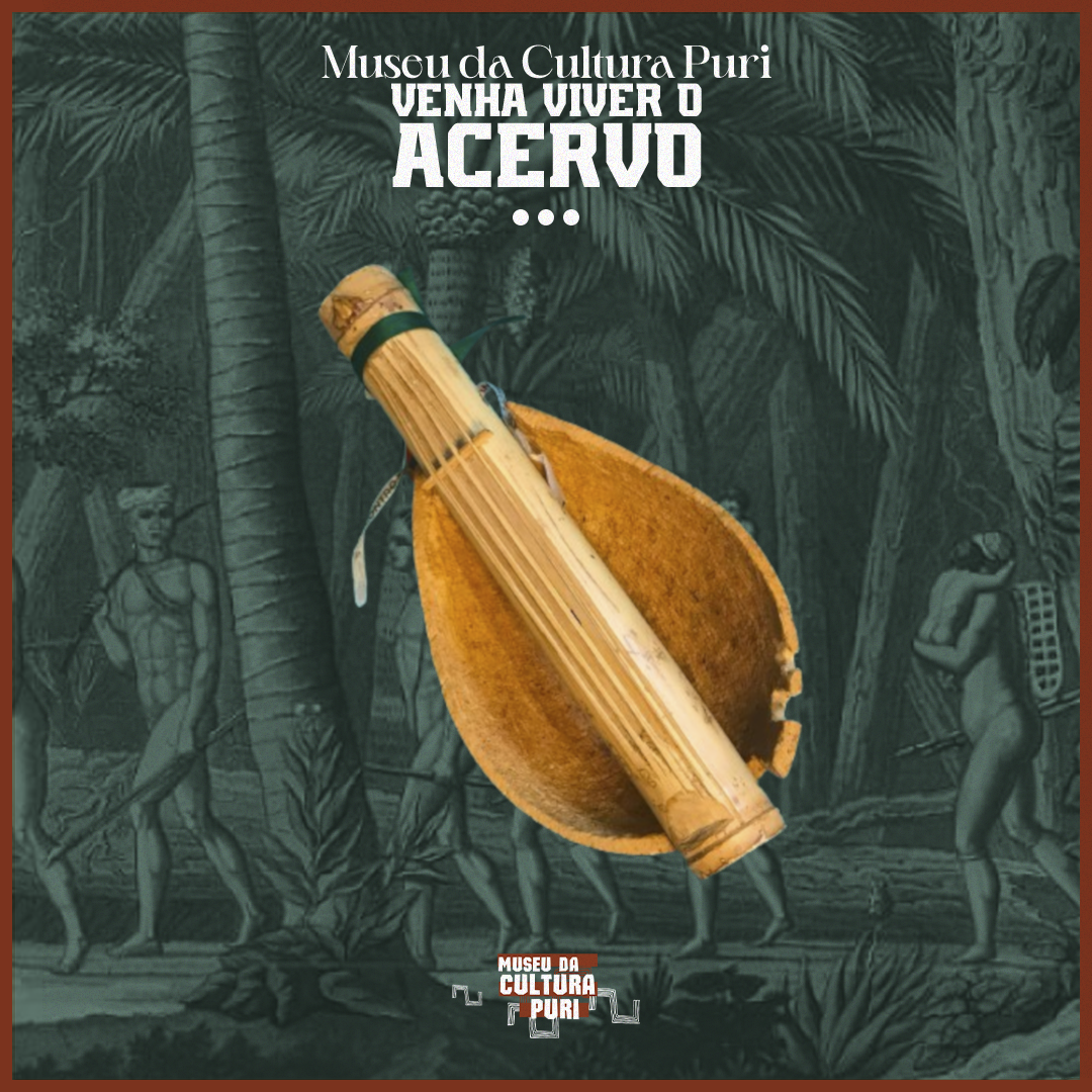 Viola de Taquara com a cabaça